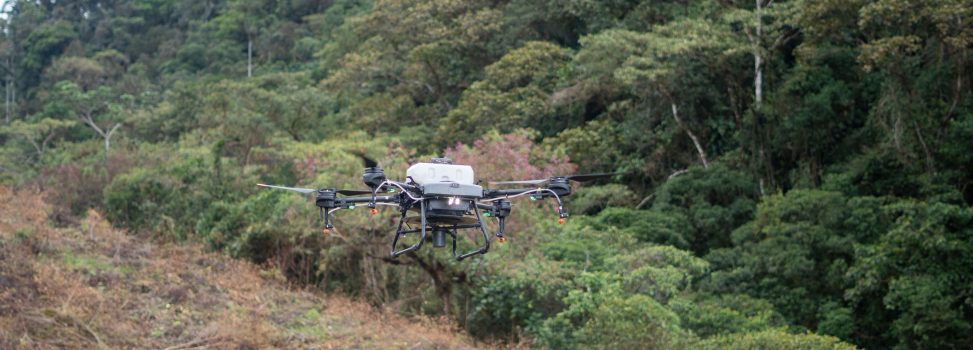 CON INNOVACIÓN TECNOLÓGICA SE PROTEGEN LOS BOSQUES DEL DEPARTAMENTO DEL CHOCÓ