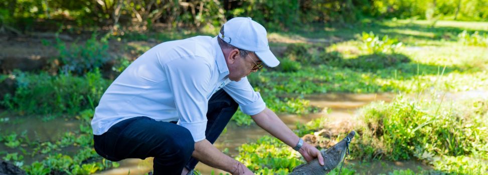 Corpoguajira da a conocer medidas de seguridaden zonas con presencia de caimanes agujas en La Guajira