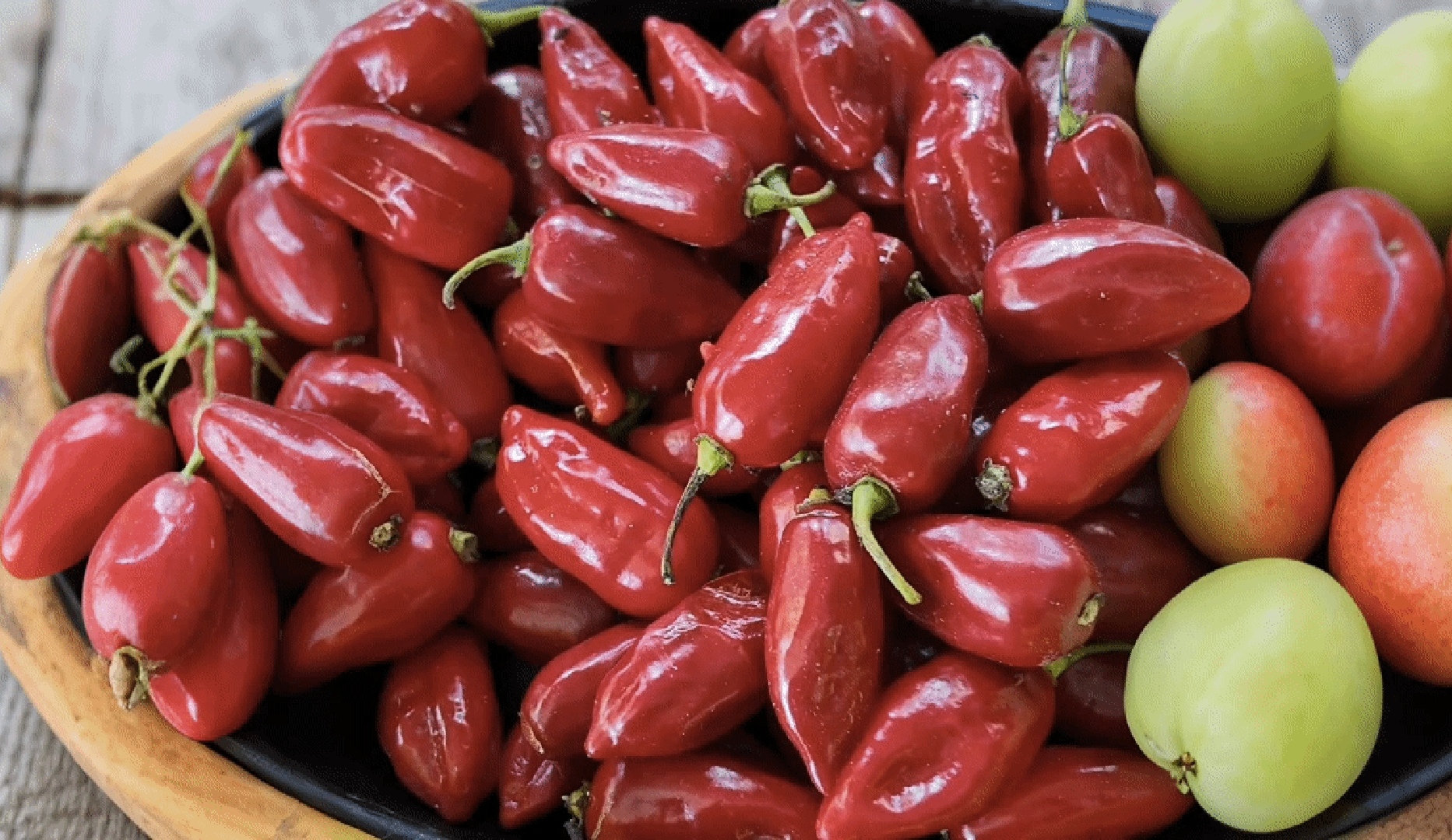 FORTALECIMIENTO DE NEGOCIOS VERDES EN EL VALLE DEL CAUCA FINCA EL MILAGRO, EN ROLDANILLO: UN MODELO DE EDUCACIÓN AMBIENTAL Y PRODUCCIÓN SOSTENIBLE DE PUERTAS ABIERTAS