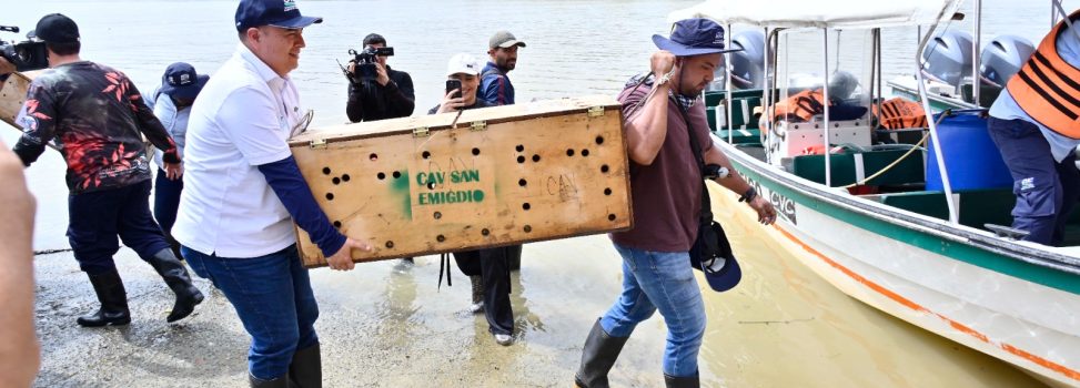 FAUNA Y FLORA SILVESTRE EN LA MIRA DE ORGANIZACIONES INTERNACIONALES