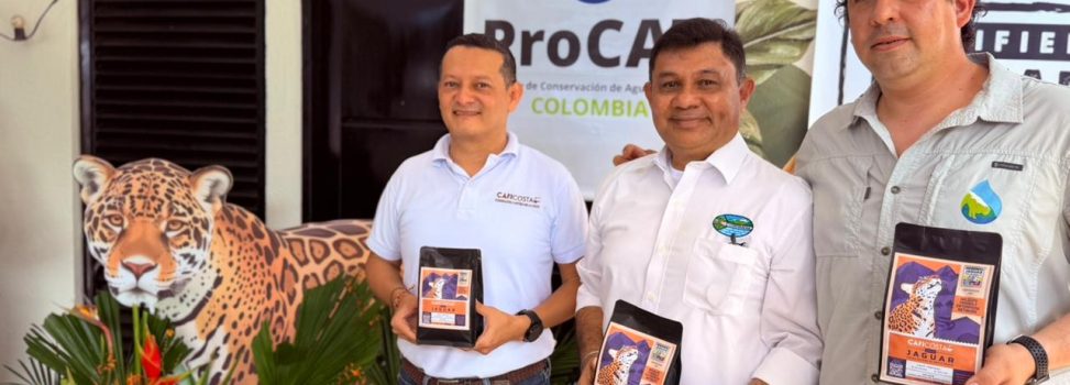 CORPAMAG, PROCAT Y CAFICOSTA PRESENTAN EL SELLO CAFÉ JAGUAR SIERRA NEVADA, ESTRATEGIA CLAVE PARA LA CONSERVACIÓN DE ESTA ESPECIE AMENAZADA