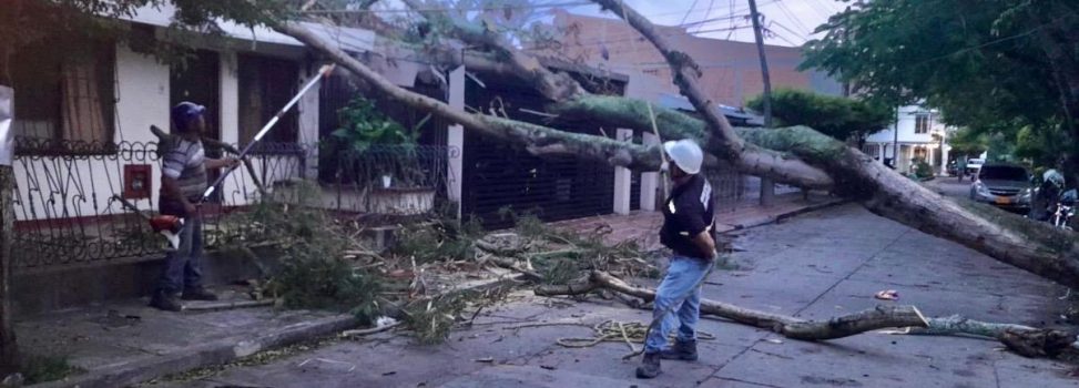 SEPA QUÉ HACER ANTE LAS CONSECUENCIAS NATURALES QUE DEJAN LAS LLUVIAS
