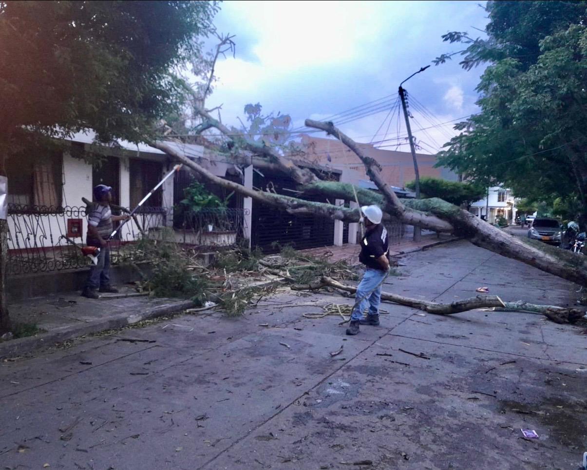 SEPA QUÉ HACER ANTE LAS CONSECUENCIAS NATURALES QUE DEJAN LAS LLUVIAS