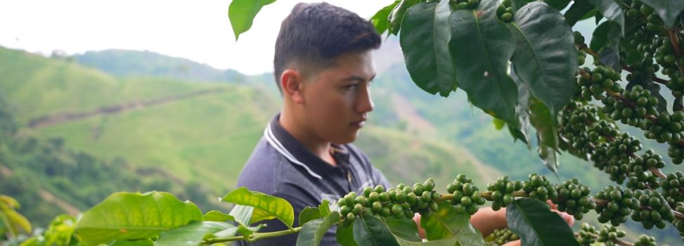 Ganadería y caficultura del Huila le apuestan a la conectividad ecológica