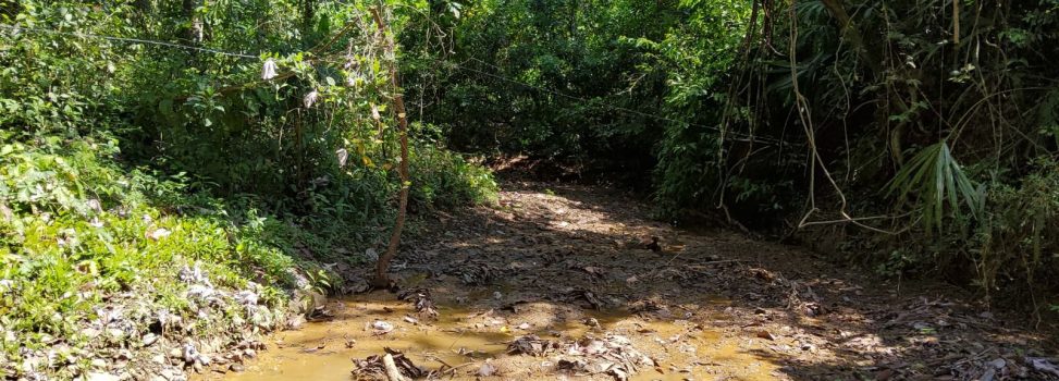 CORPAMAG, FISCALÍA Y EJÉRCITO REALIZAN CONTUNDENTE OPERATIVO CONTRA LA MINERÍA ILEGAL EN LA SIERRA NEVADA DE SANTA MARTA