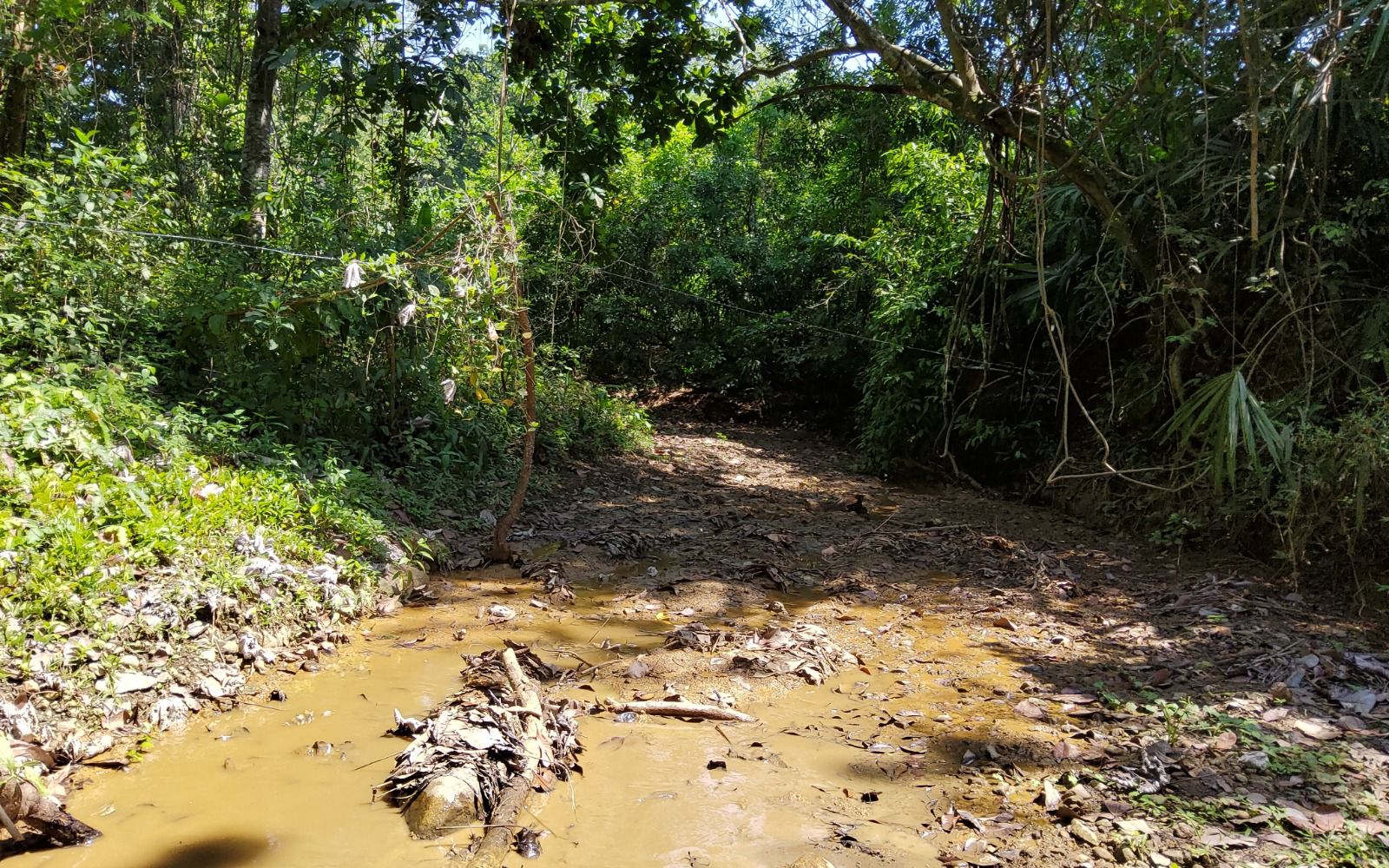 CORPAMAG, FISCALÍA Y EJÉRCITO REALIZAN CONTUNDENTE OPERATIVO CONTRA LA MINERÍA ILEGAL EN LA SIERRA NEVADA DE SANTA MARTA