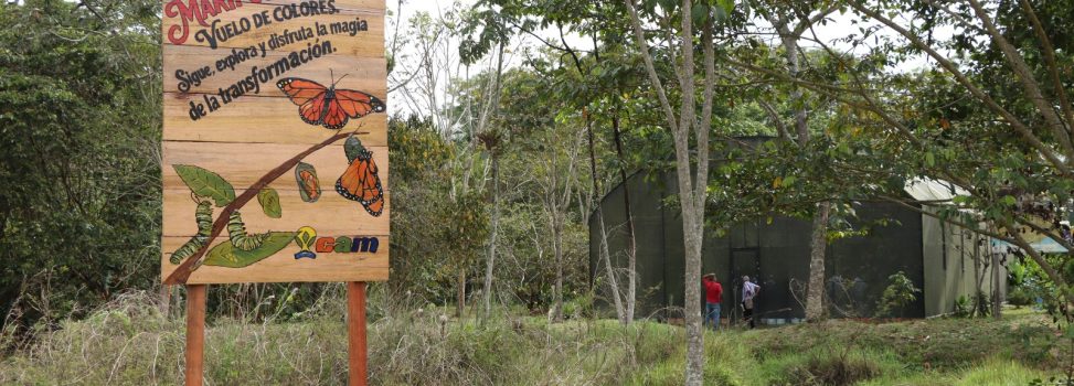 La CAM abre las puertas del mariposario en el sur del Huila