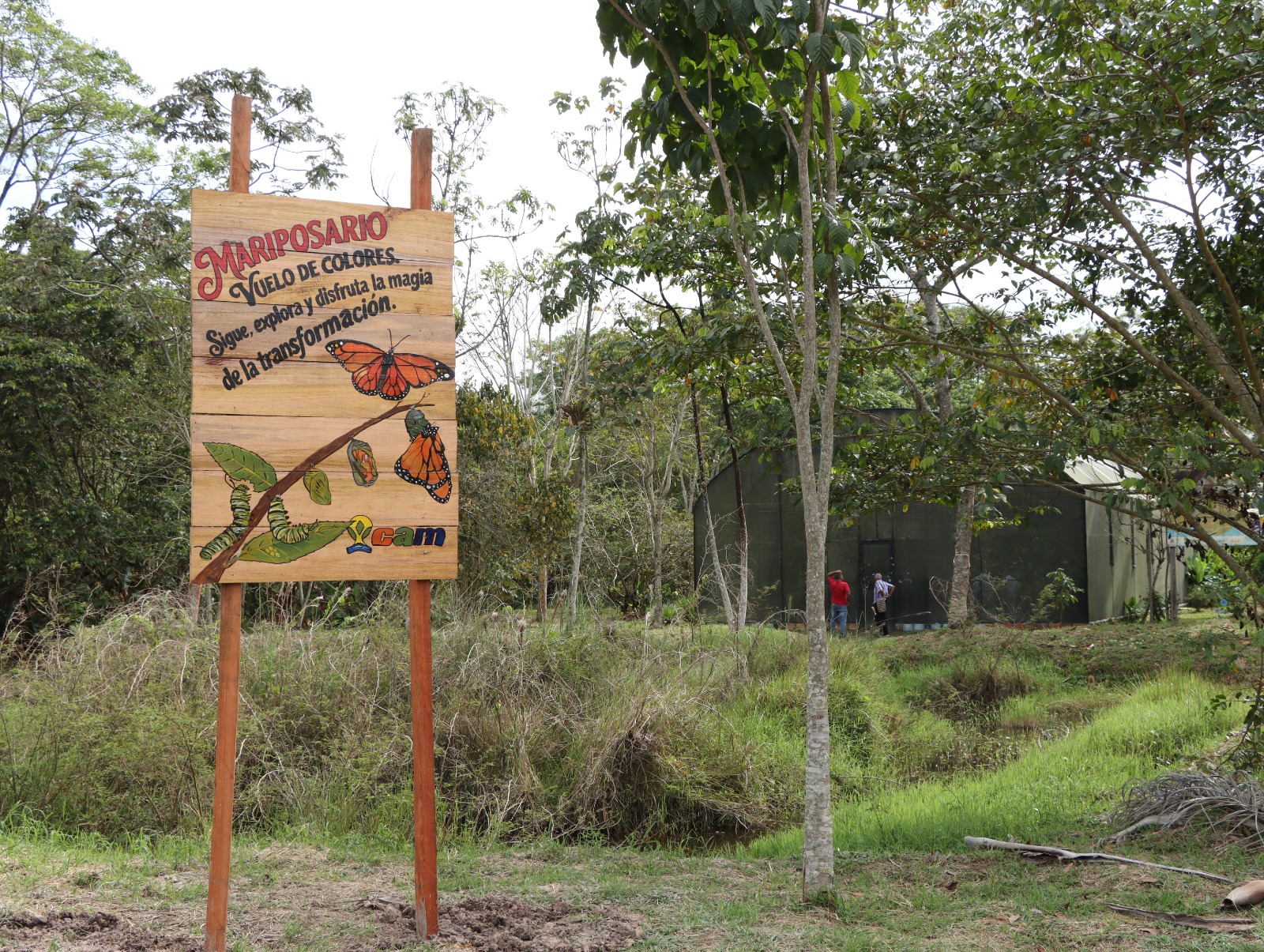 La CAM abre las puertas del mariposario en el sur del Huila