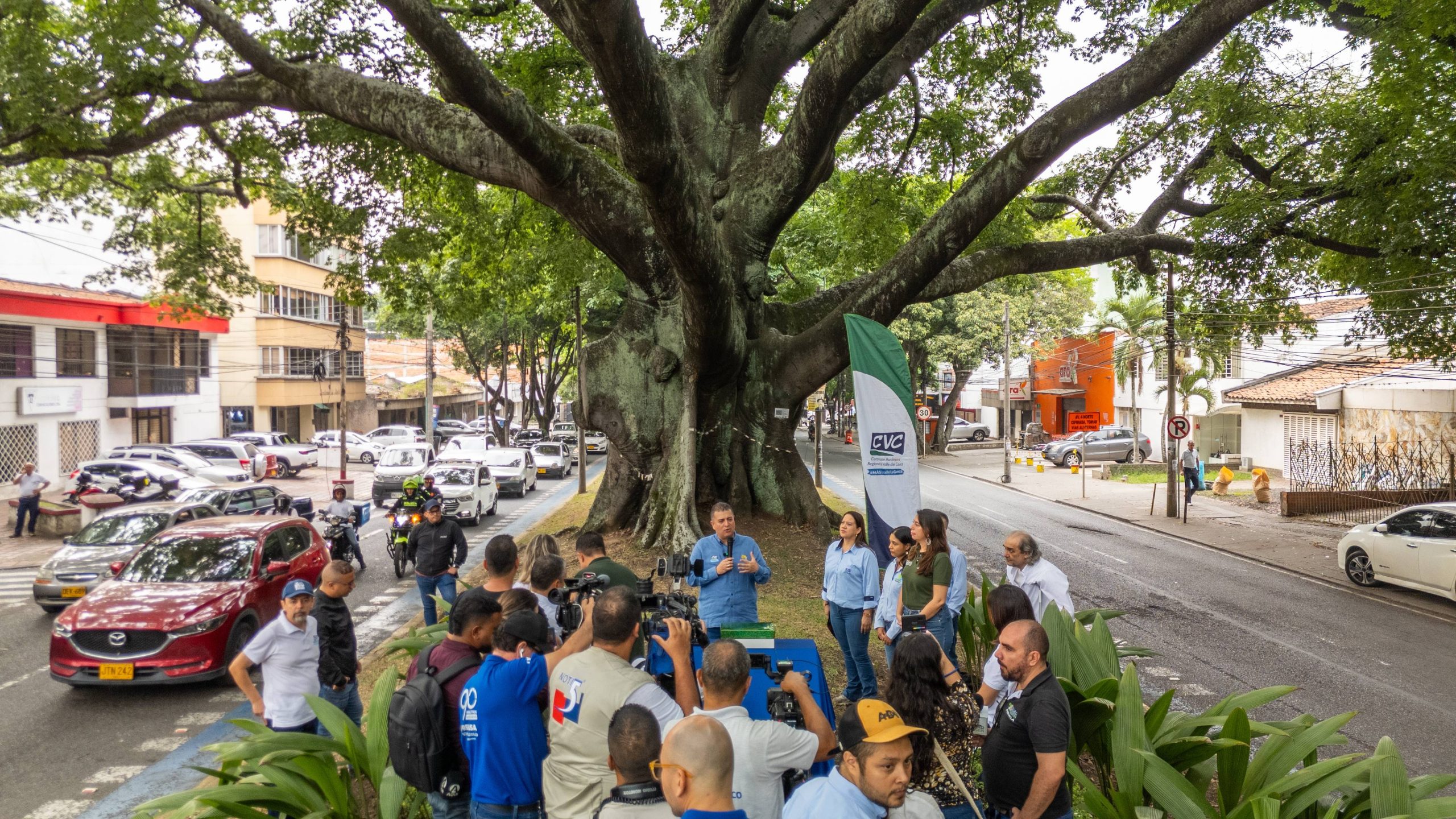CVC LE ENTREGÓ A CALI INVENTARIO DE 500 ÁRBOLES PATRIMONIALES