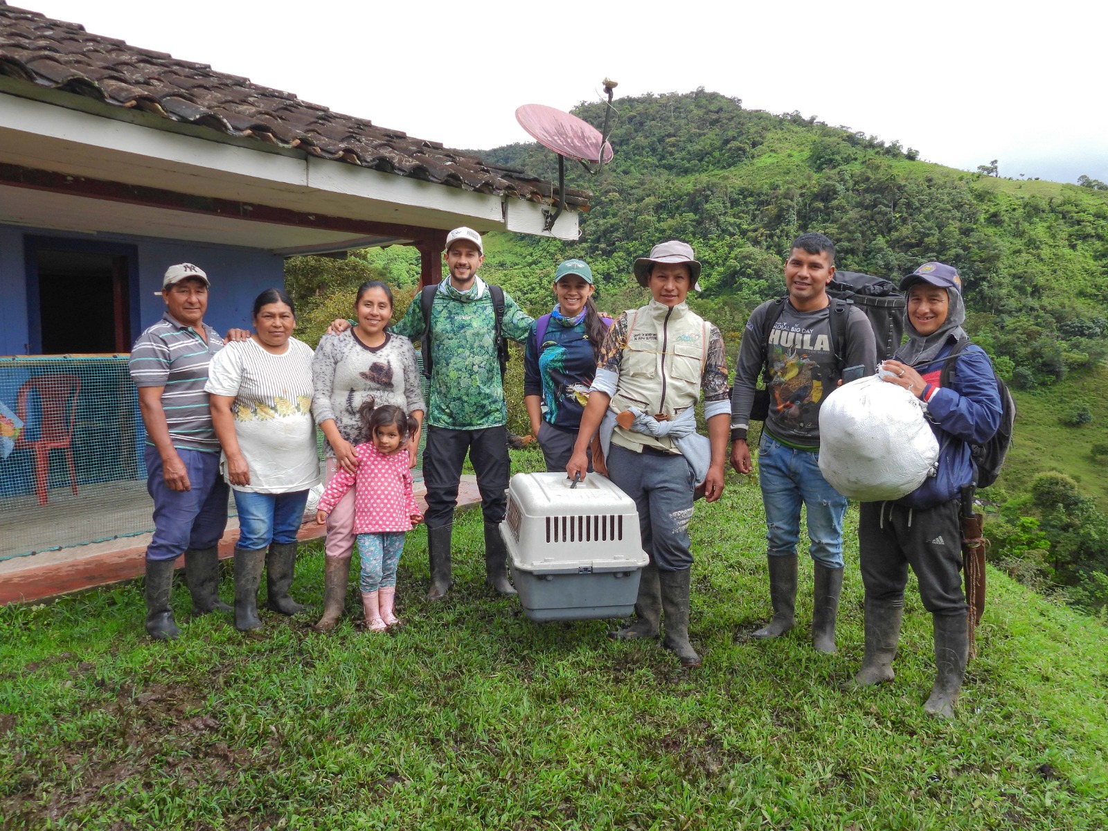 Devuelven a su nido a polluelo de águila real de montaña en el Huila