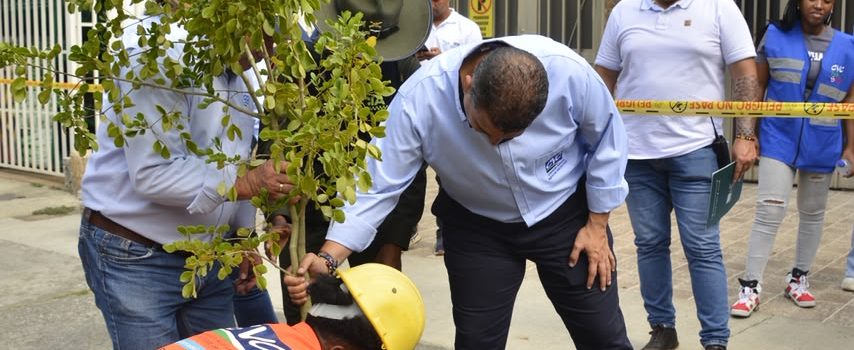 LANZAN ESTRATEGIA CONTRA LAS ISLAS DE CALOR EN CALI