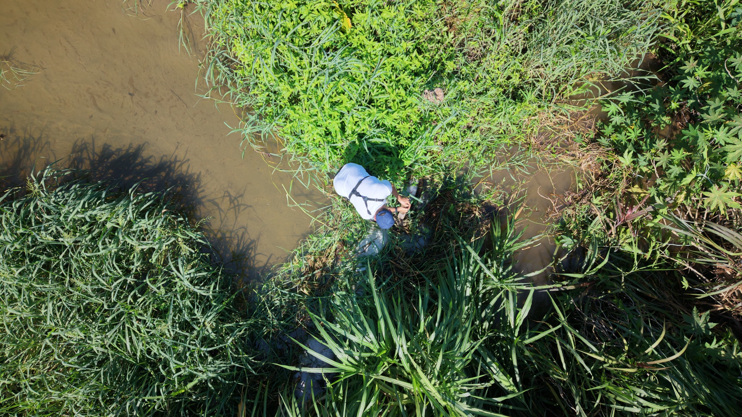 CORPAMAG RETIRA TRINCHO QUE OBSTRUÌA FLUJO DE AGUA EN  LA QUEBRADA LA AGUJA, MUNICIPIO DE CIÈNAGA