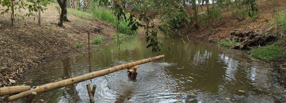 44.000 LITROS DE AGUA ALIVIARON LA SEQUÍA DEL HUMEDAL EL LIMONAR EN CALI