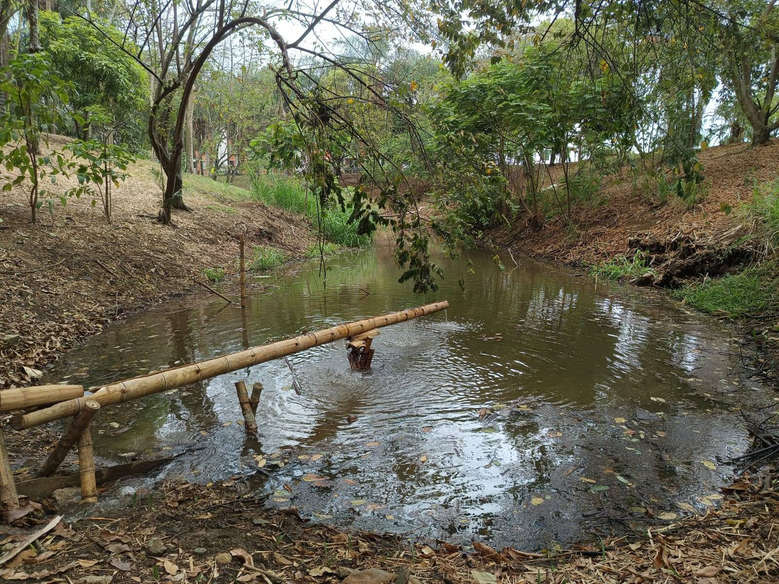44.000 LITROS DE AGUA ALIVIARON LA SEQUÍA DEL HUMEDAL EL LIMONAR EN CALI